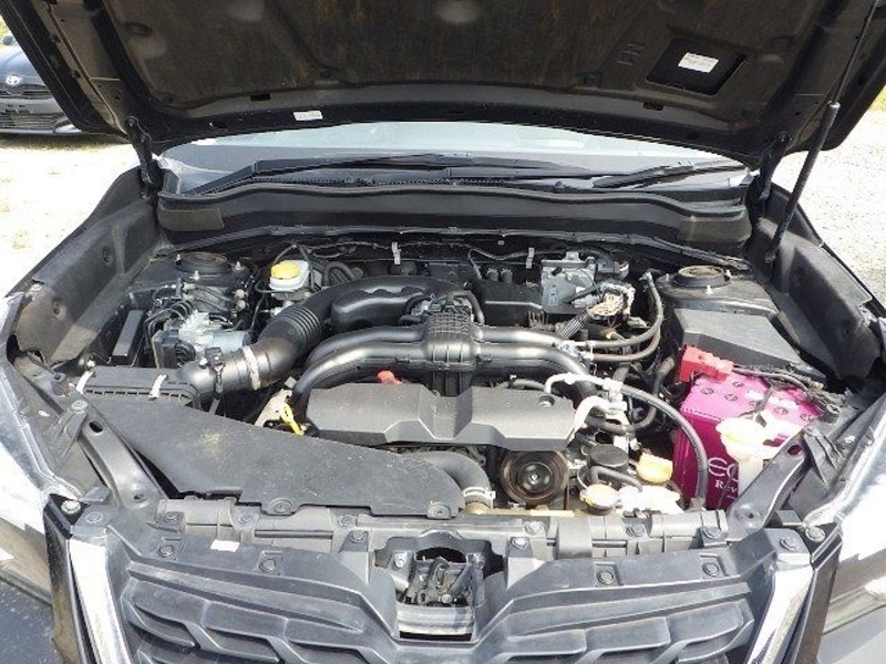 FORESTER
