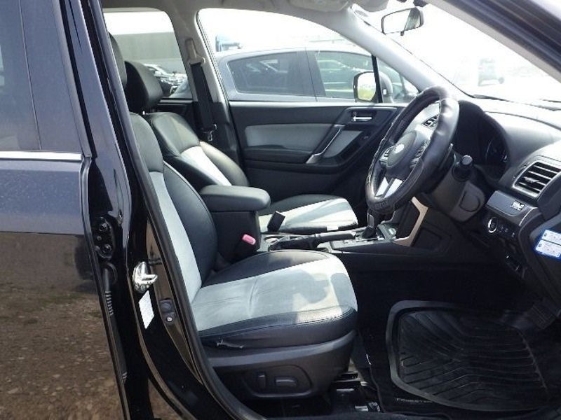 FORESTER