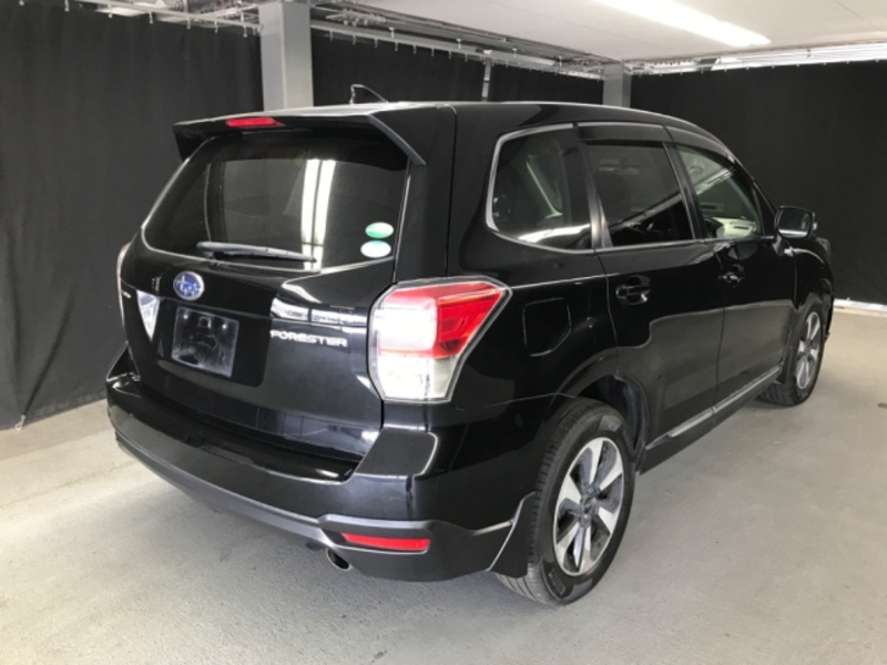 FORESTER