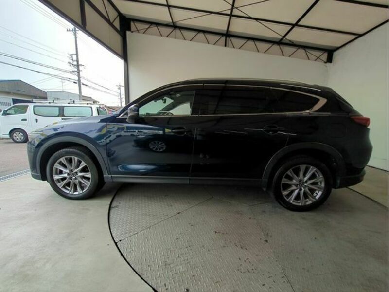 CX-8