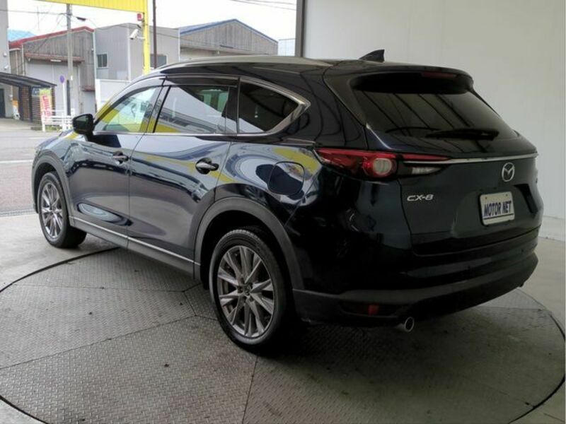 CX-8