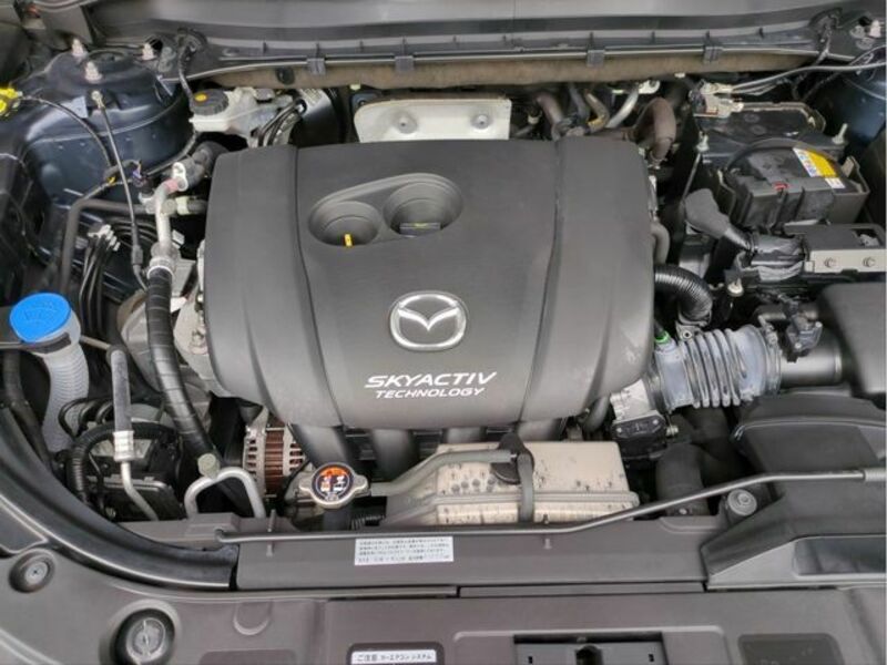 CX-8