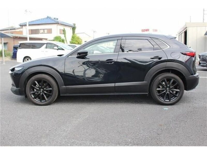 CX-30