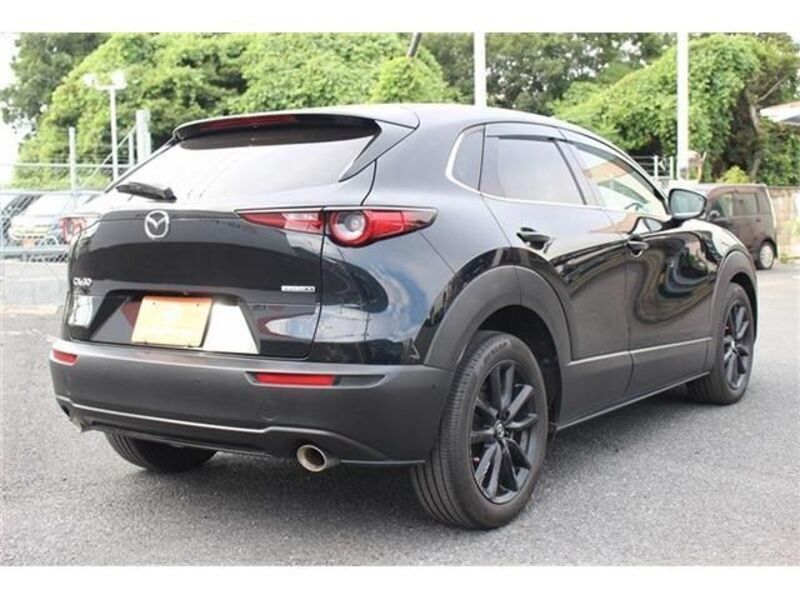 CX-30