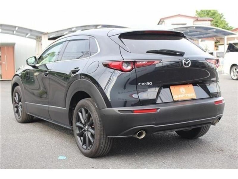 CX-30