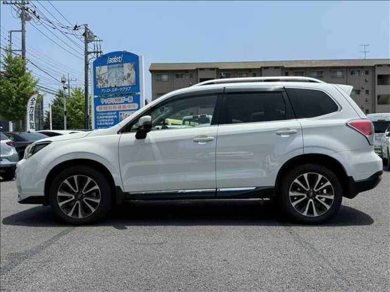 FORESTER