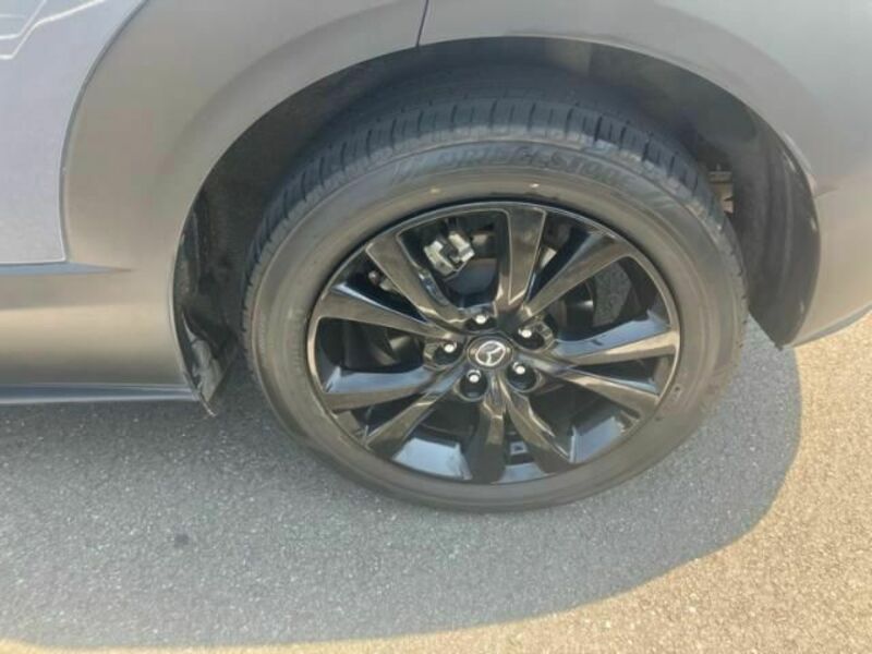 CX-30