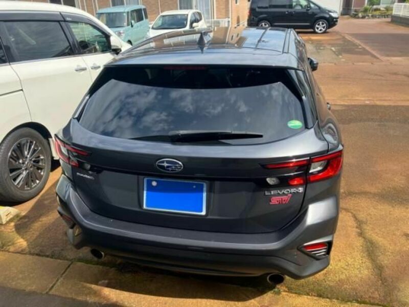 LEVORG