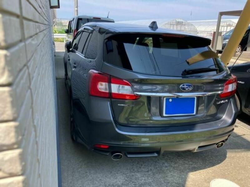 LEVORG
