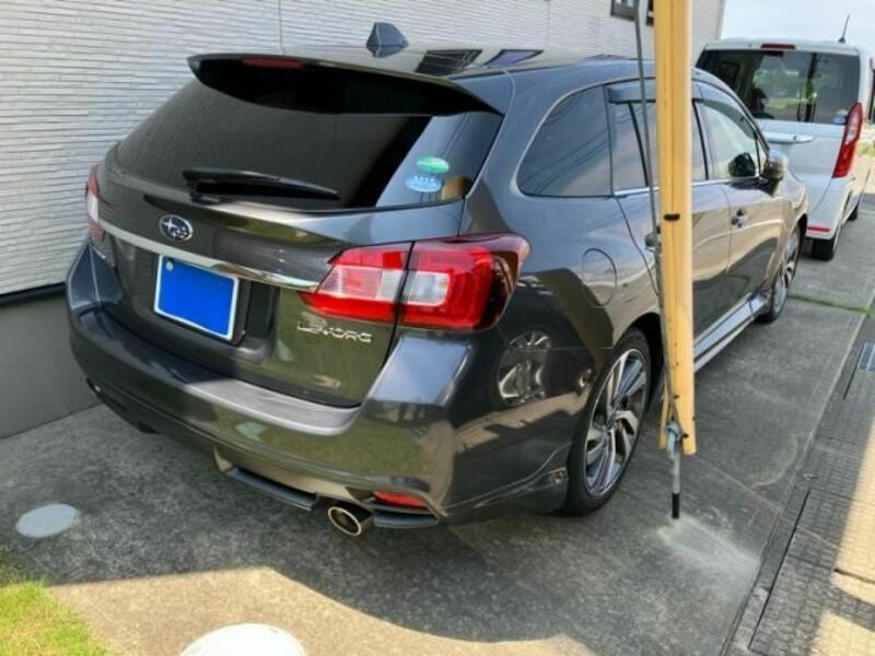 LEVORG