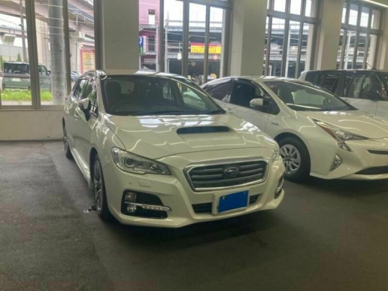 LEVORG