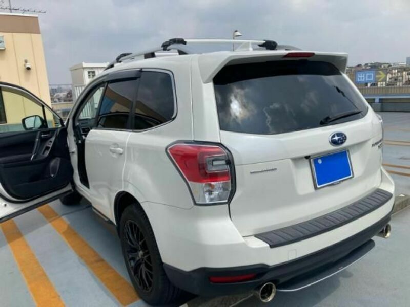 FORESTER