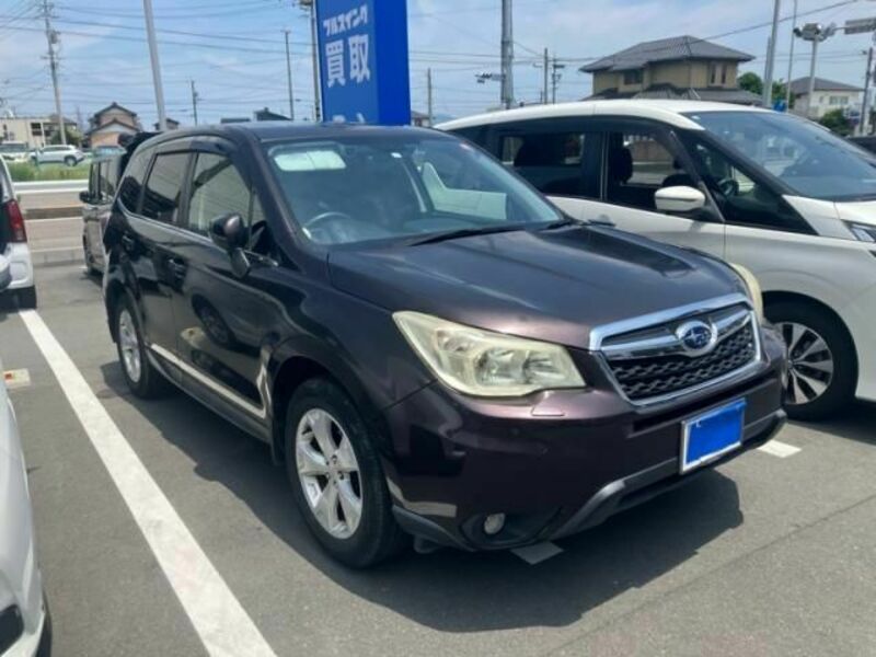 FORESTER