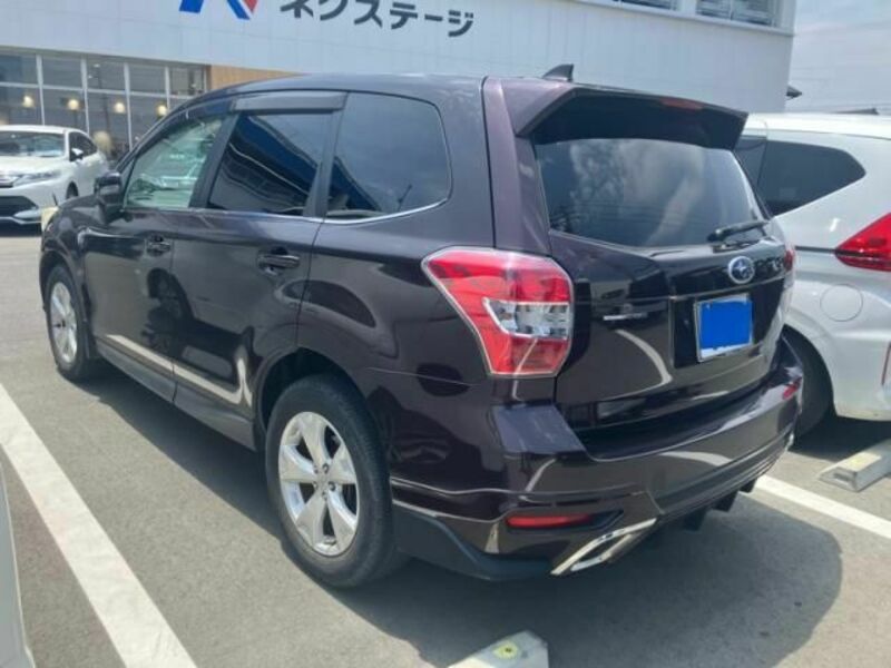 FORESTER