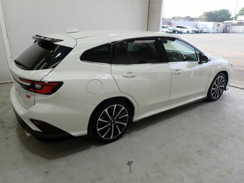 LEVORG