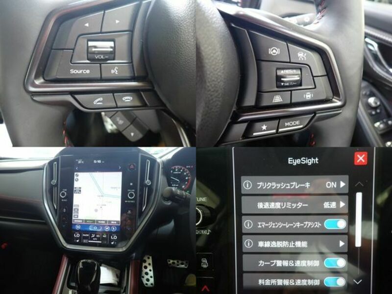 LEVORG
