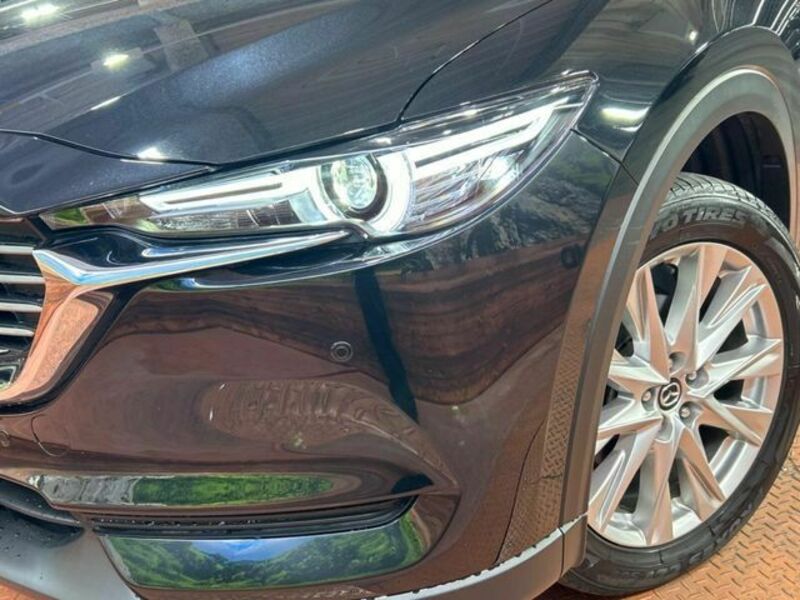 CX-8