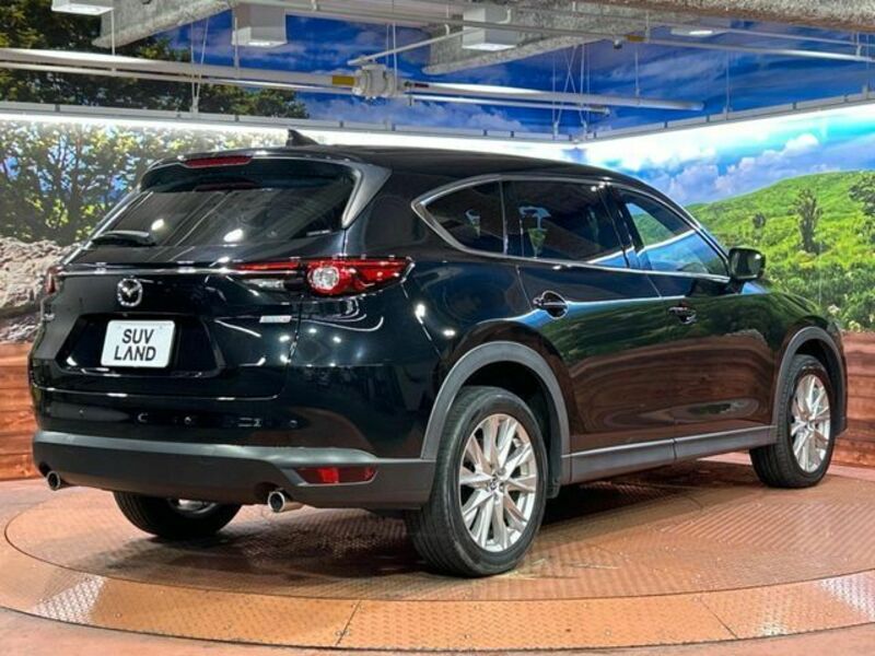 CX-8