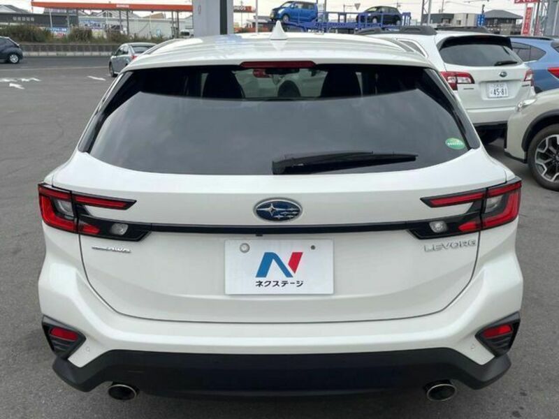 LEVORG