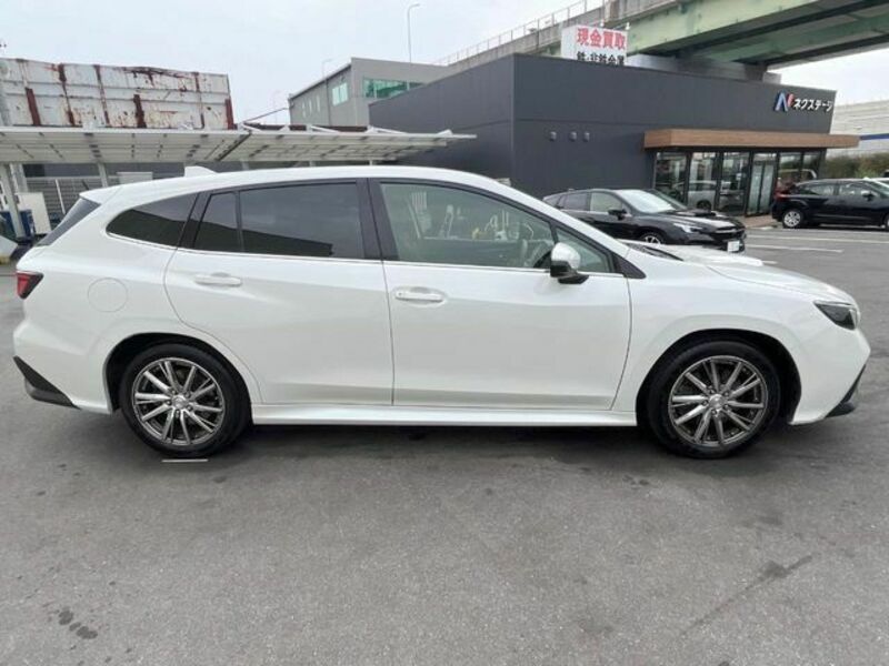 LEVORG