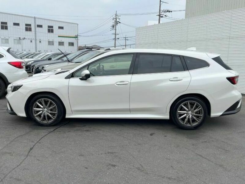 LEVORG