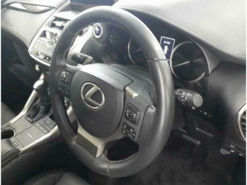 NX