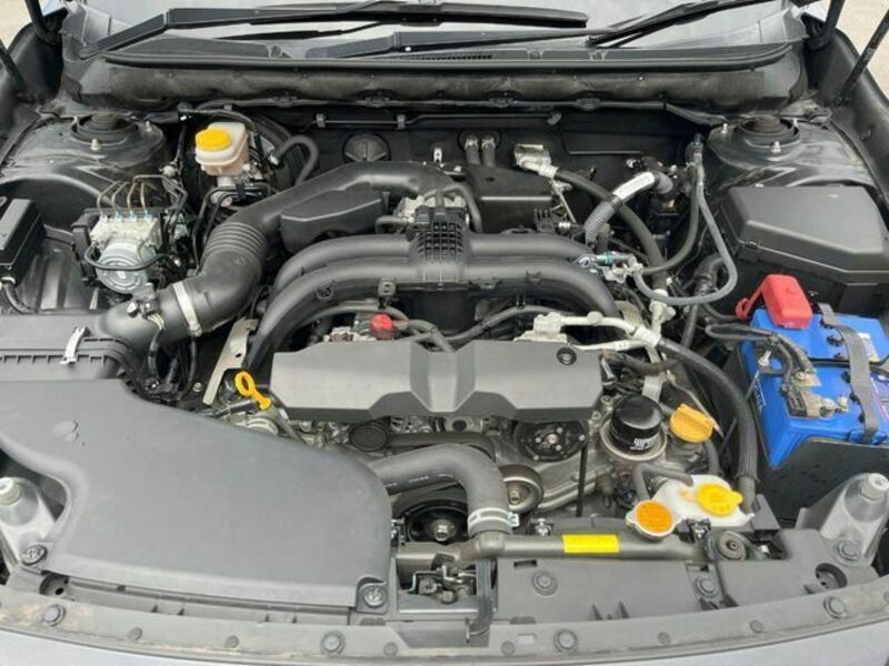 LEGACY OUTBACK