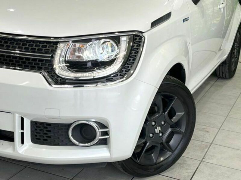 IGNIS
