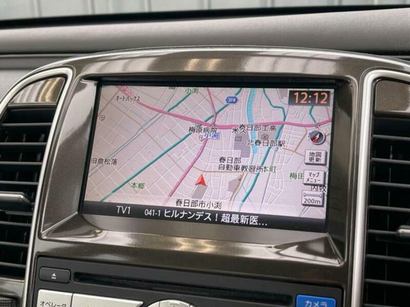 BLUEBIRD SYLPHY