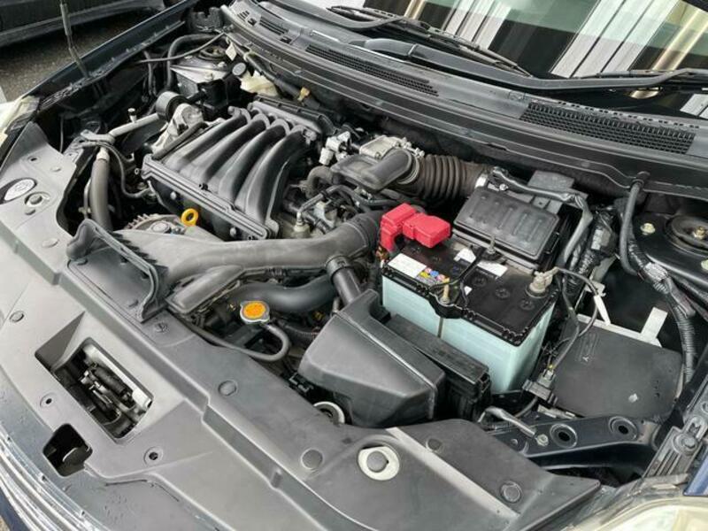 BLUEBIRD SYLPHY