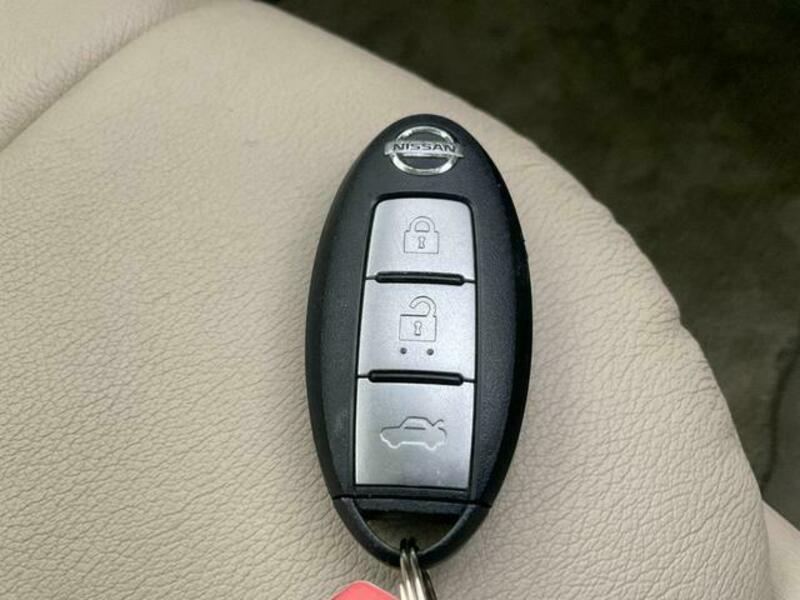BLUEBIRD SYLPHY