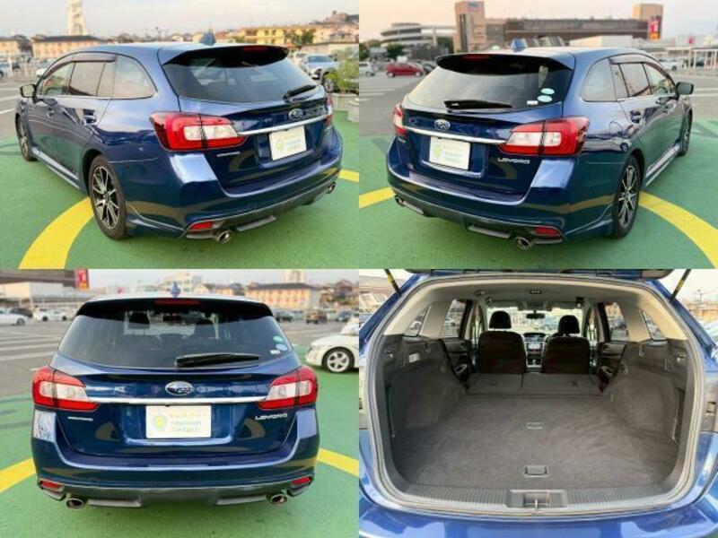 LEVORG