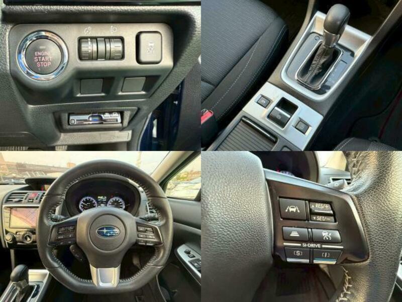 LEVORG