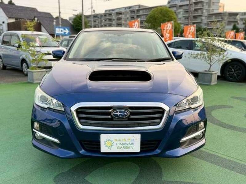 LEVORG