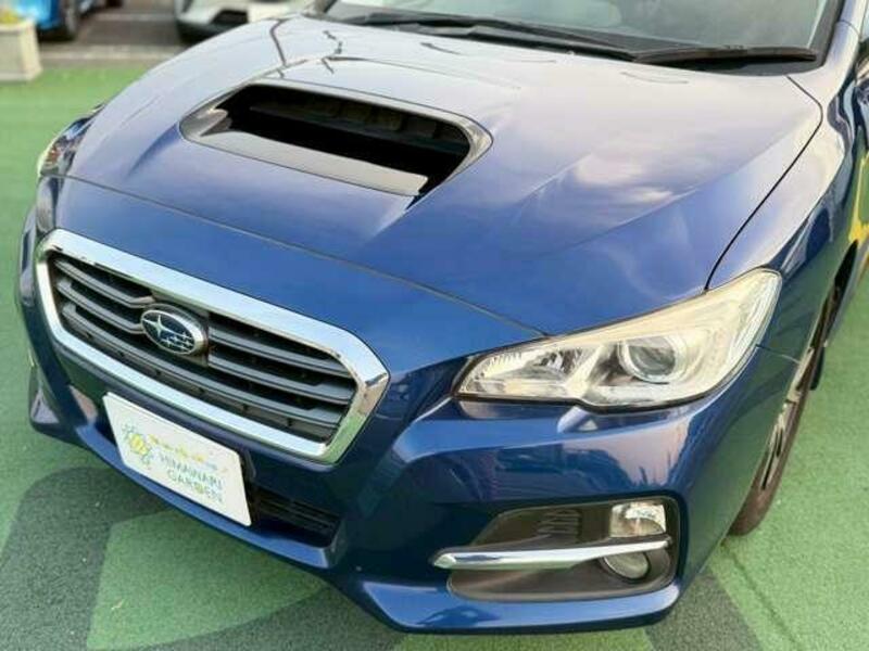 LEVORG