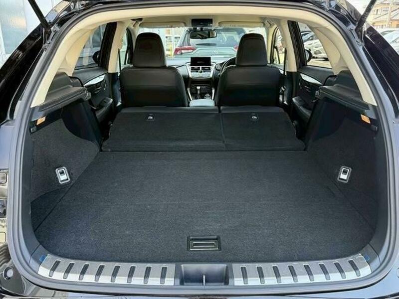 NX