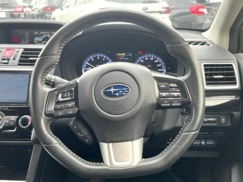 LEVORG