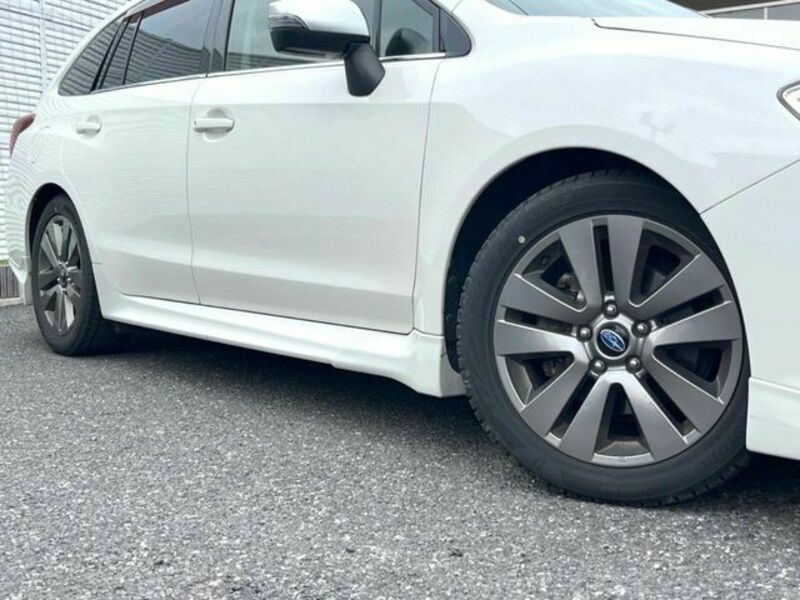 LEVORG