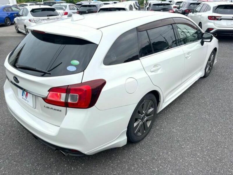 LEVORG