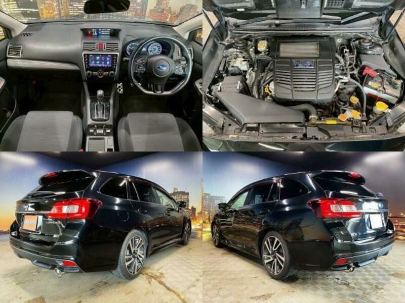 LEVORG