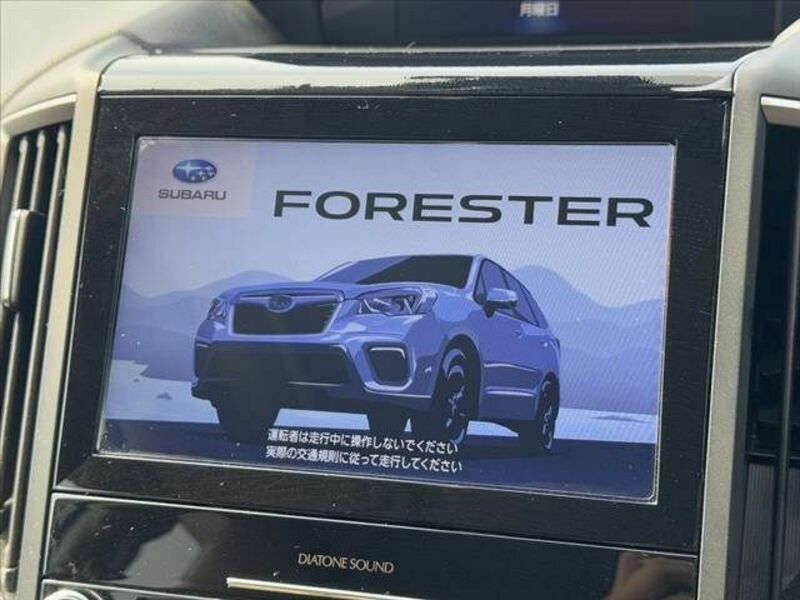 FORESTER