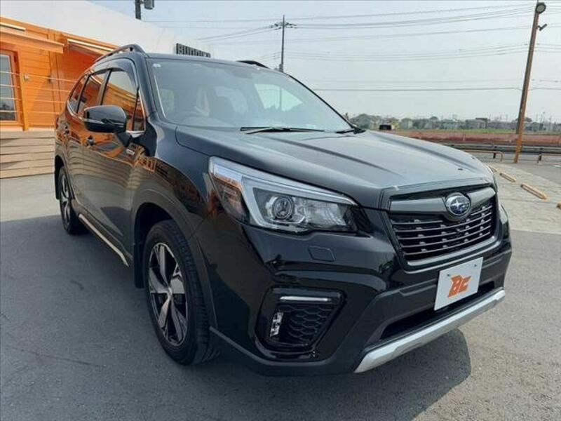 FORESTER