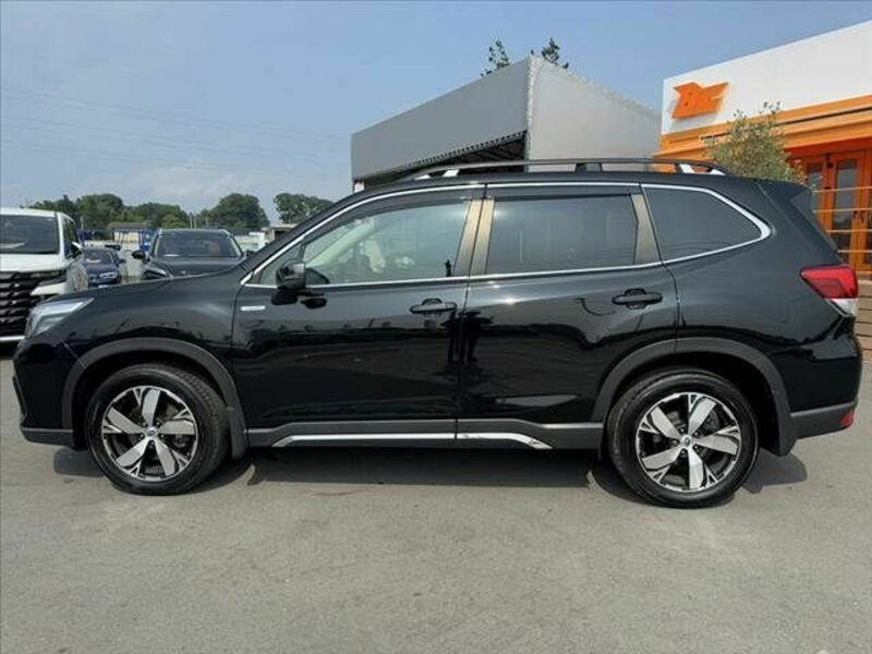 FORESTER