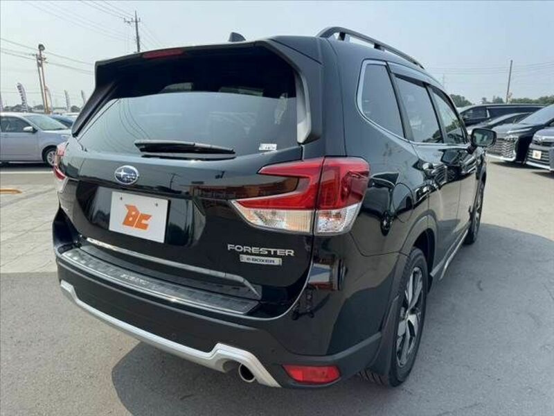 FORESTER