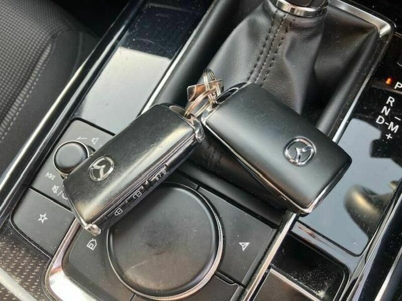 CX-30