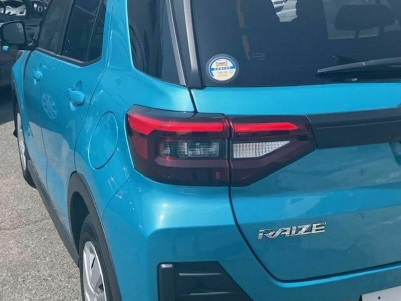 RAIZE