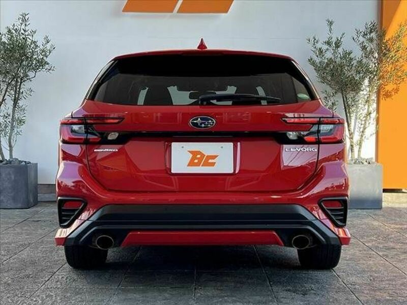 LEVORG