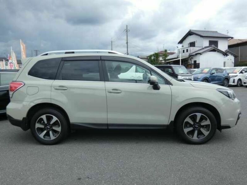 FORESTER