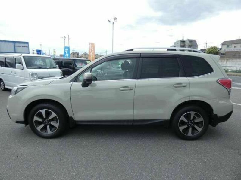 FORESTER