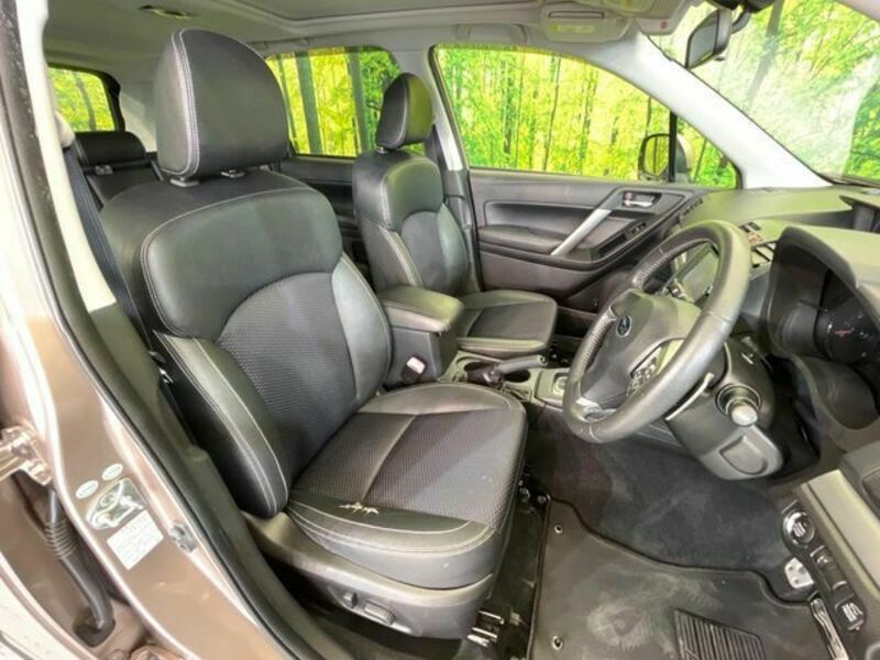 FORESTER